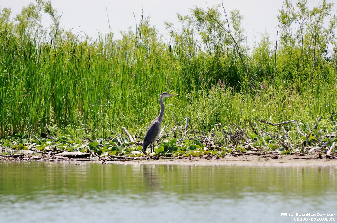 62886RoCrLeSh - Kayak outing at McLaughlin Bay at Darlington Provincial Park